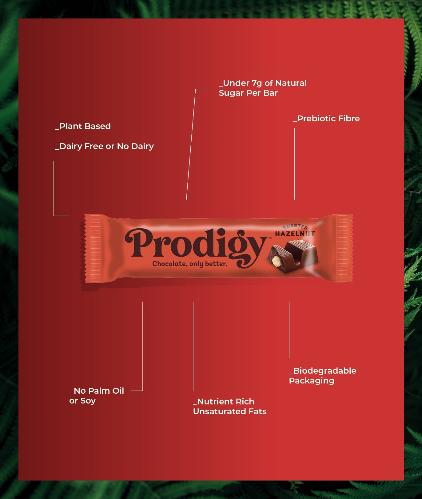 Prodigy - Roasted Hazelnut Chocolate Bar